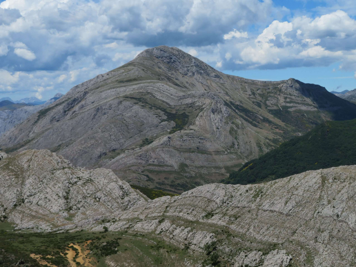 Pico correcillas o polvoreda fdmescyl