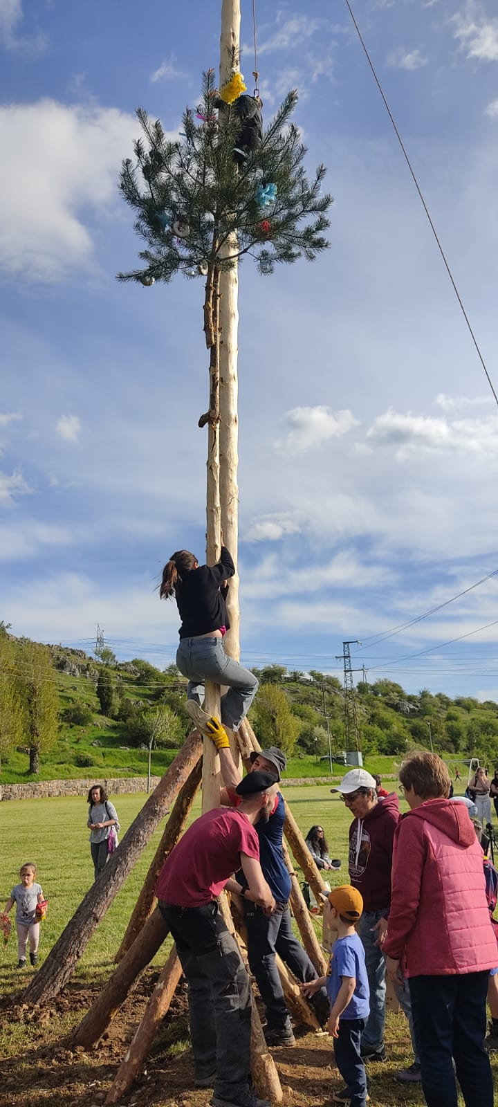 Pinada del Mayo 2025 Velilla del Rio Carrion DDV 20