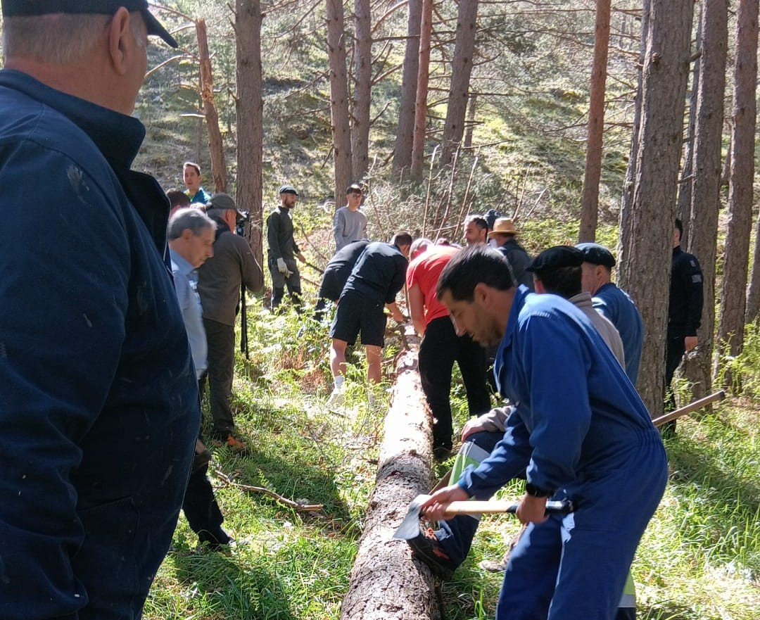 Pinada del Mayo 2025 Velilla del Rio Carrion DDV 7