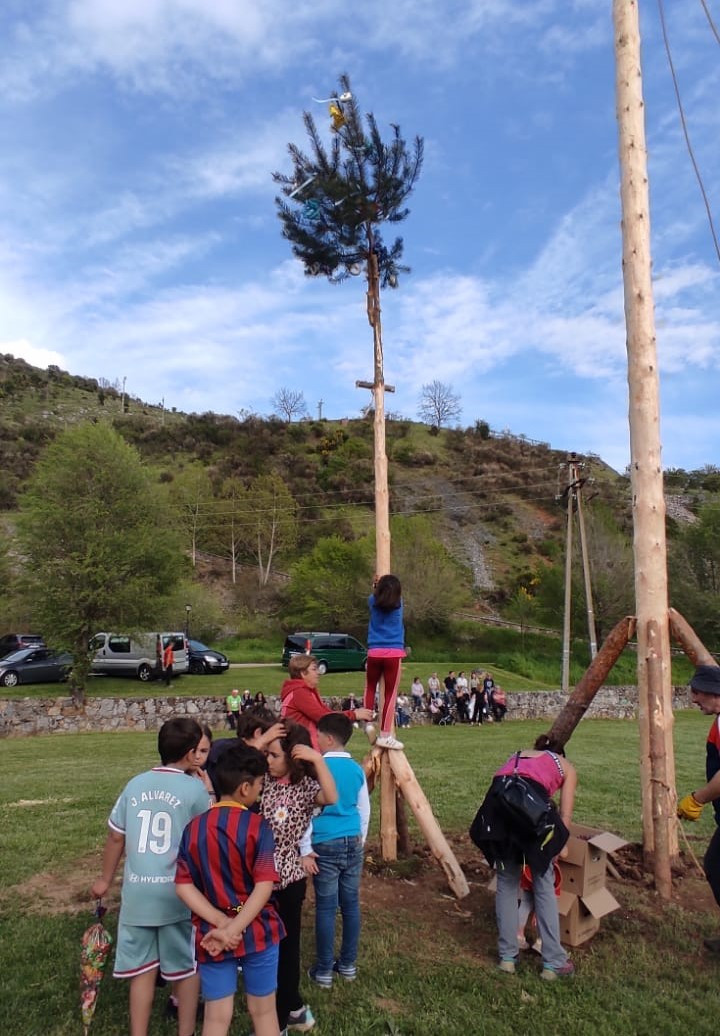 Pinada del Mayo 2025 Velilla del Rio Carrion DDV 9