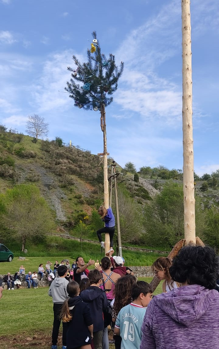 Pinada del Mayo 2025 Velilla del Rio Carrion DDV 14