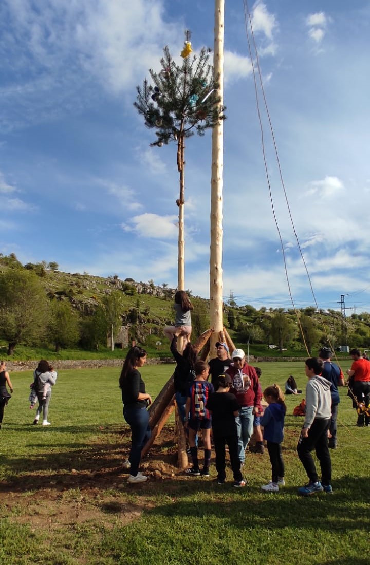 Pinada del Mayo 2025 Velilla del Rio Carrion DDV 16