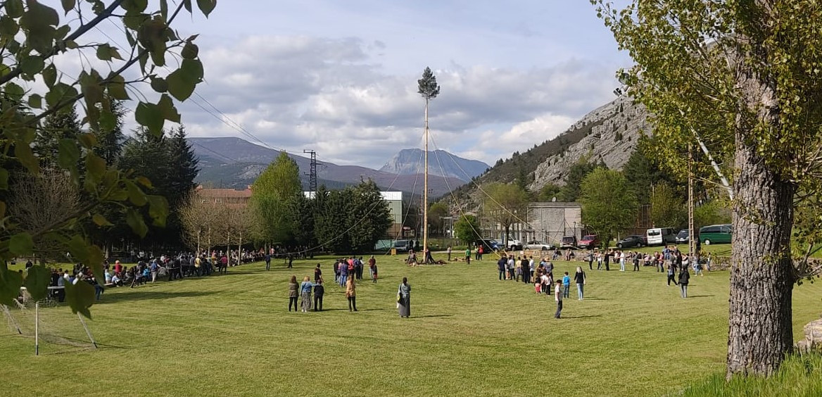 Pinada del Mayo 2025 Velilla del Rio Carrion DDV 17