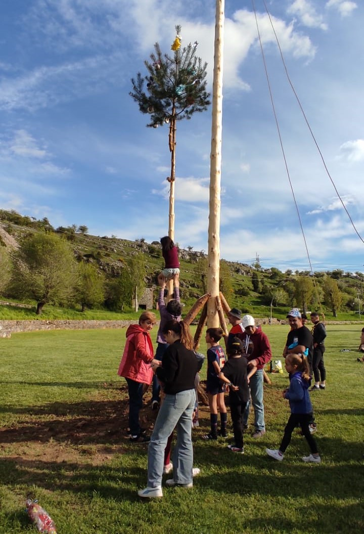 Pinada del Mayo 2025 Velilla del Rio Carrion DDV 18