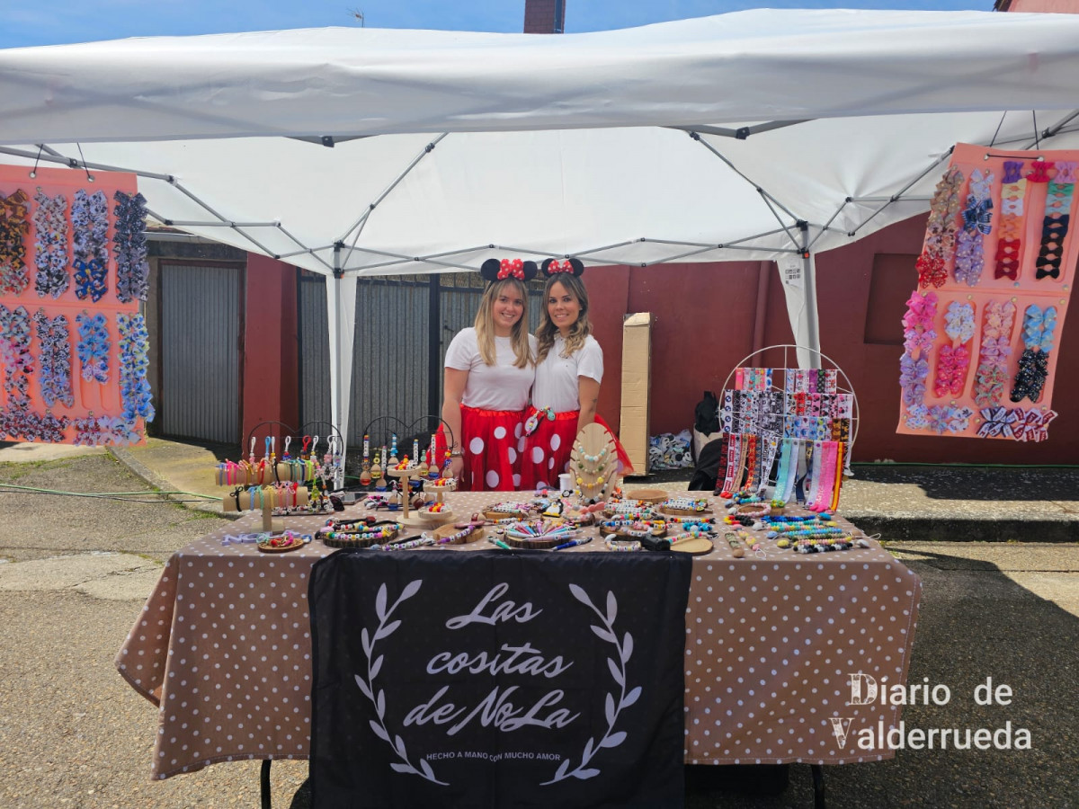 Feria de los Cuentos Almanza 2025 DDV 29