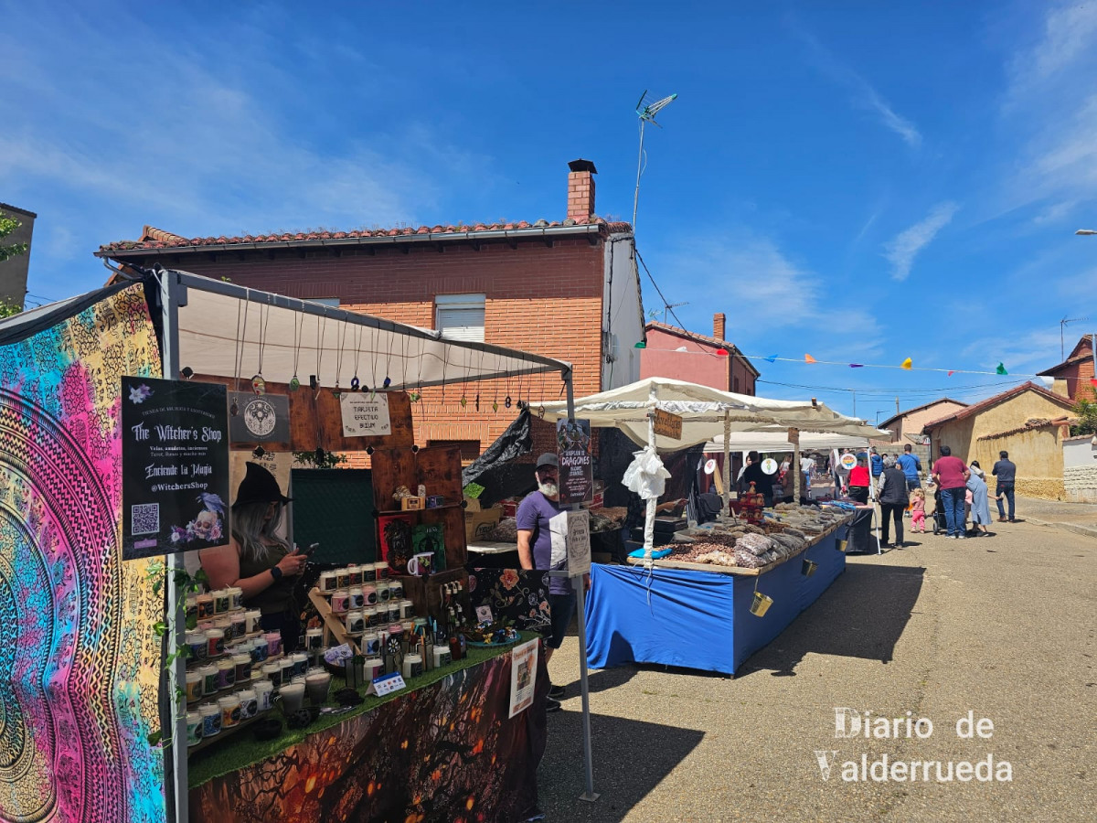 Feria de los Cuentos Almanza 2025 DDV 20