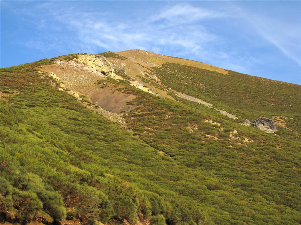 Pico brau00f1acaballo cueto millaro IGM