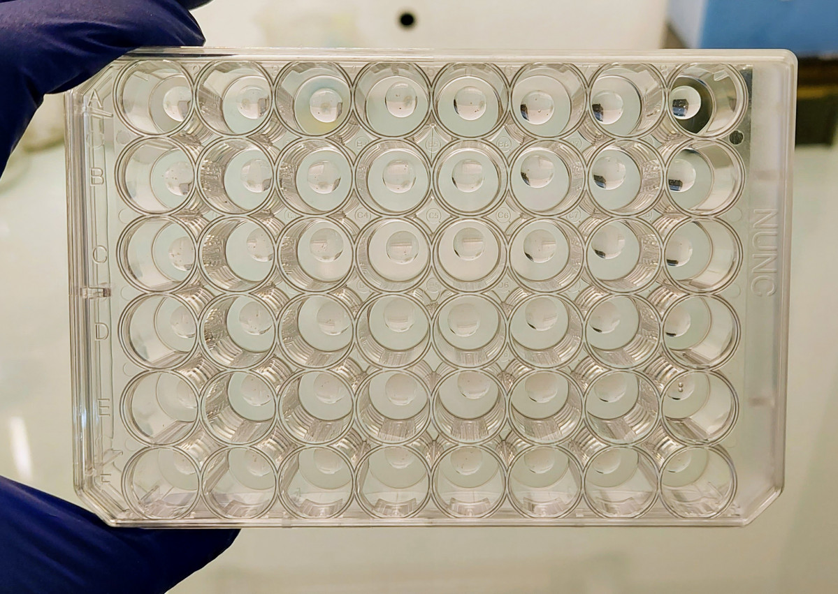 Material empleado en la investigaciu00f3n