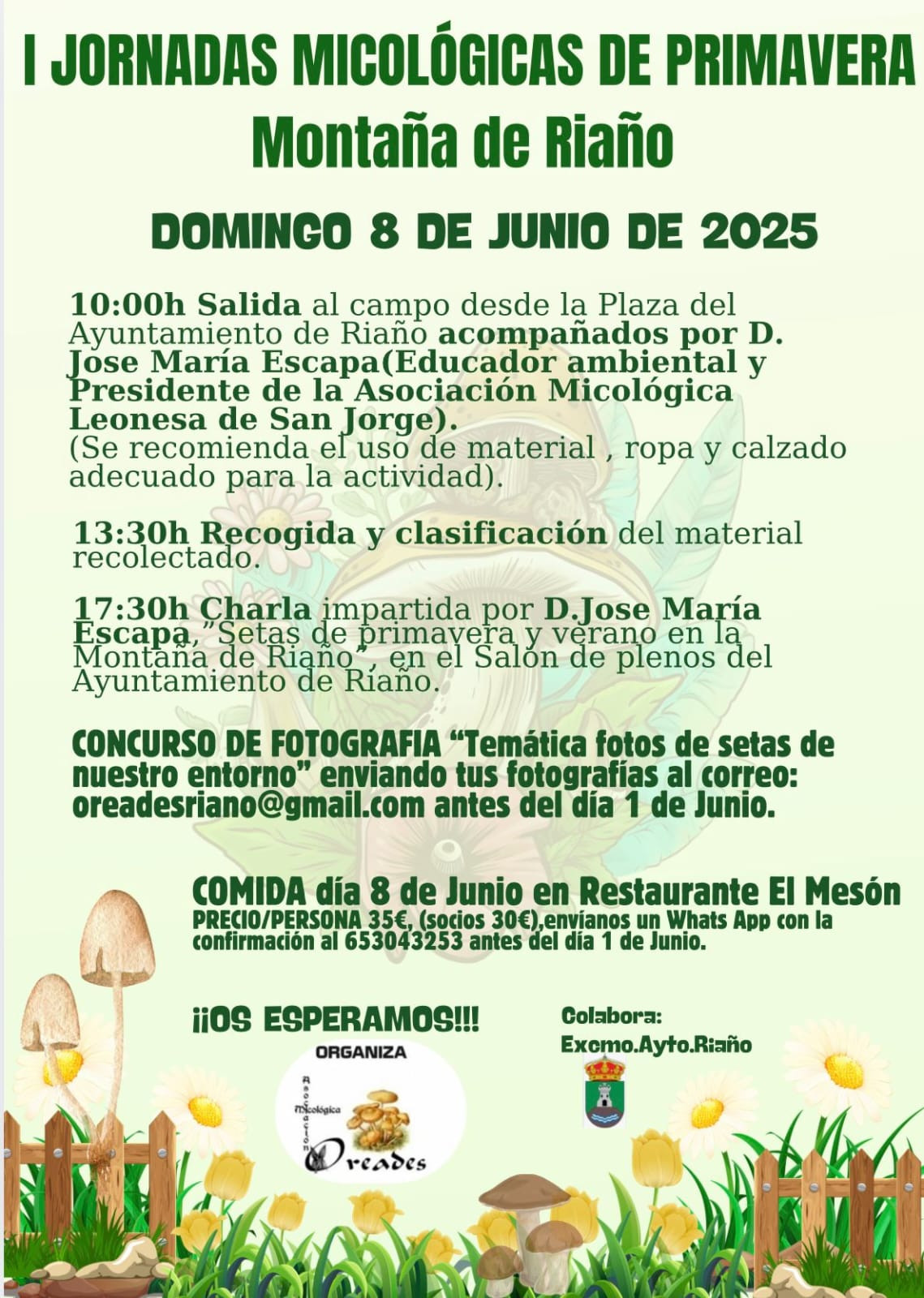 Cartel jornadas micologicas de primavera