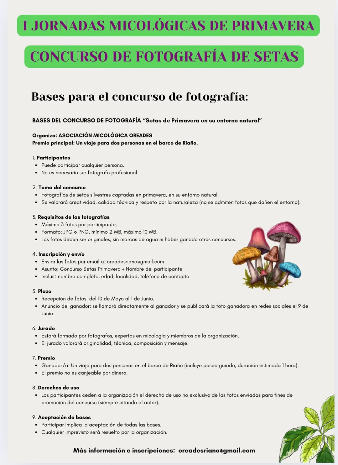 Bases concurso foto