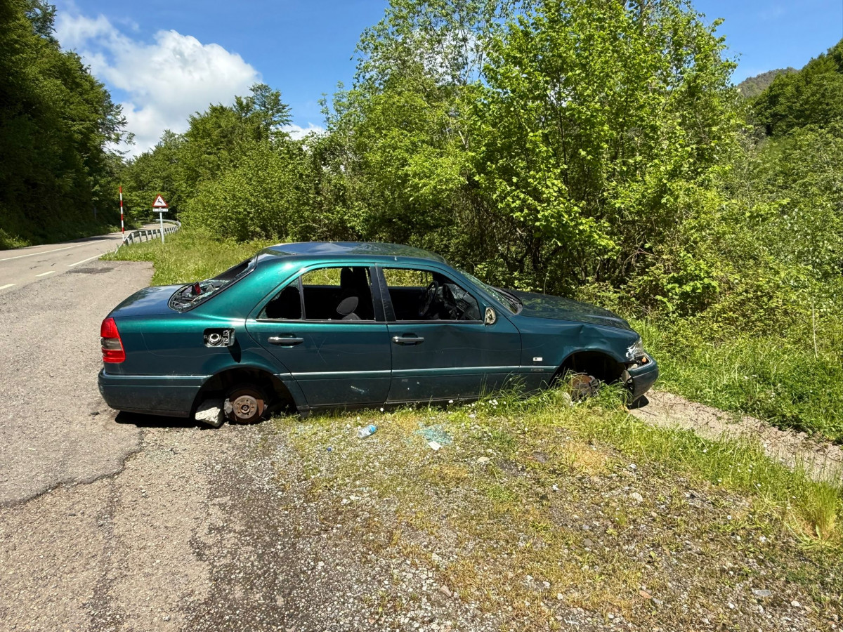 Coche saqueado oseja de sajambre (3)