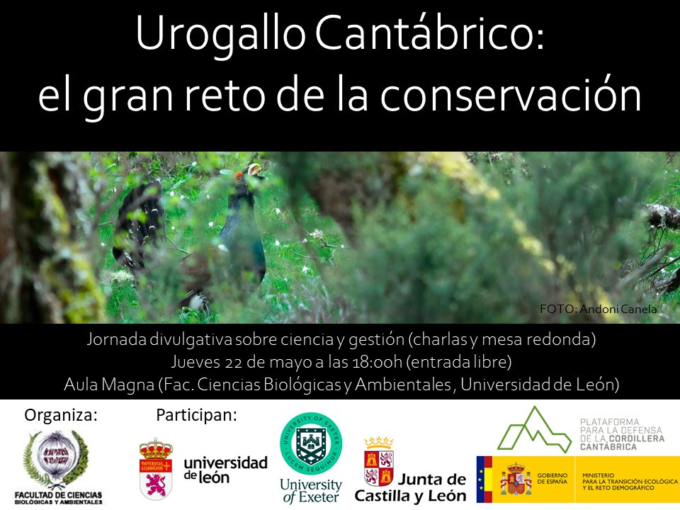 Cartel Urogallo