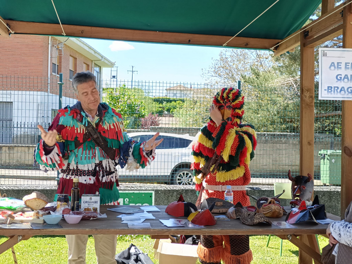Feria brau00f1ar 2025 bou00f1ar (4)