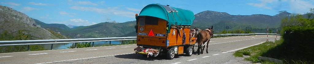 Carro tirado por caballos riau00f1o carlos alvarez (3)