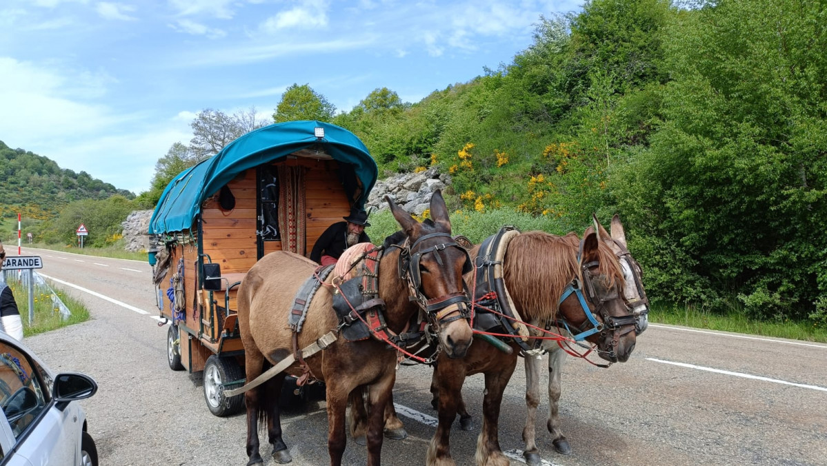 Carro tirado por caballos carande (1)