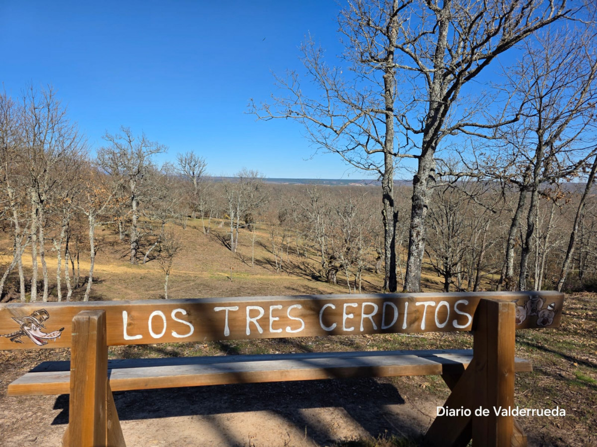 Bosque de los enanitos almanza (6)