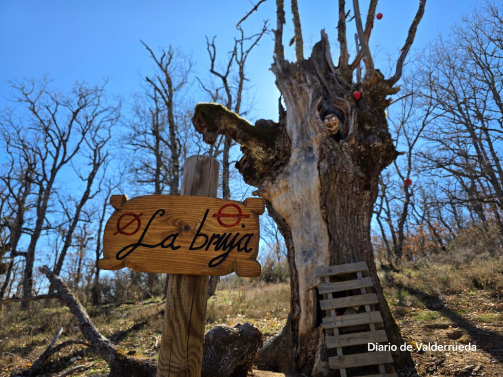 Bosque de los enanitos almanza (2)