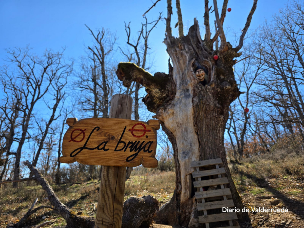 Bosque de los enanitos almanza (2)