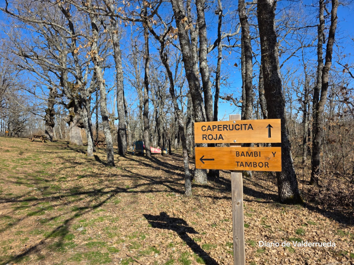 Bosque de los enanitos almanza (3)