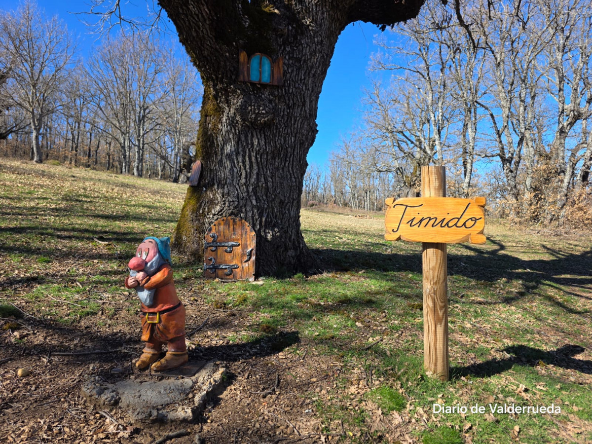 Bosque de los enanitos almanza (1)