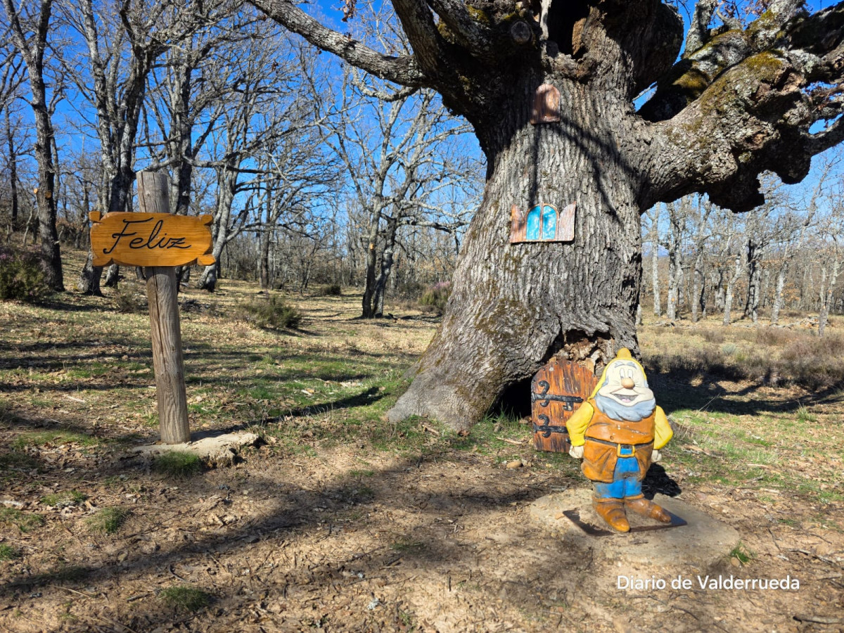 Bosque de los enanitos almanza (5)
