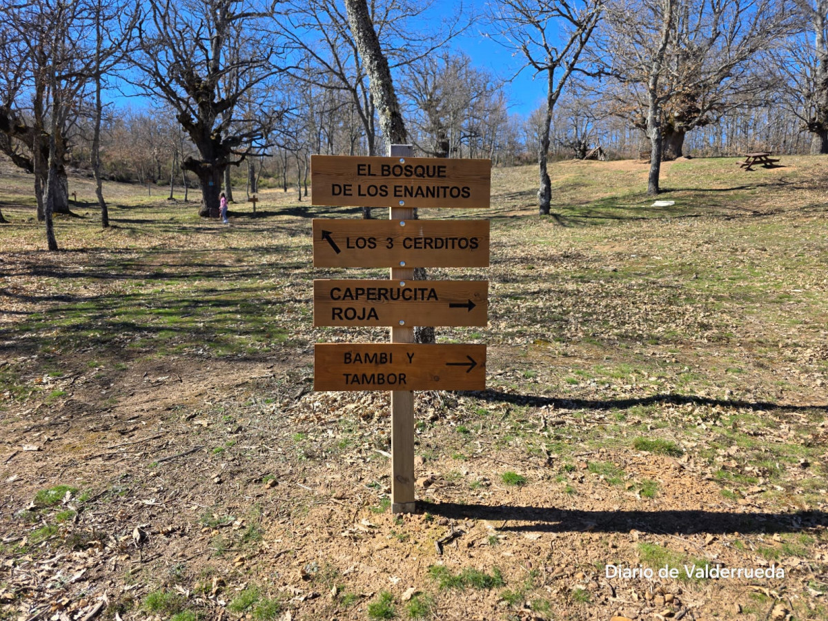 Bosque de los enanitos almanza (3)
