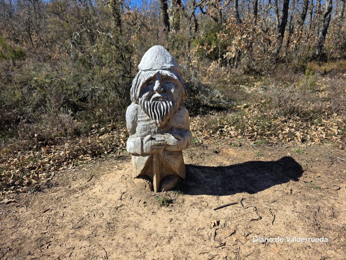 Bosque de los enanitos almanza (2)