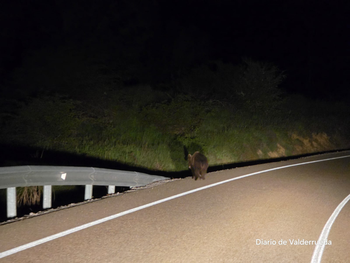 Osezno  valmartino carretera CL 626 (2)