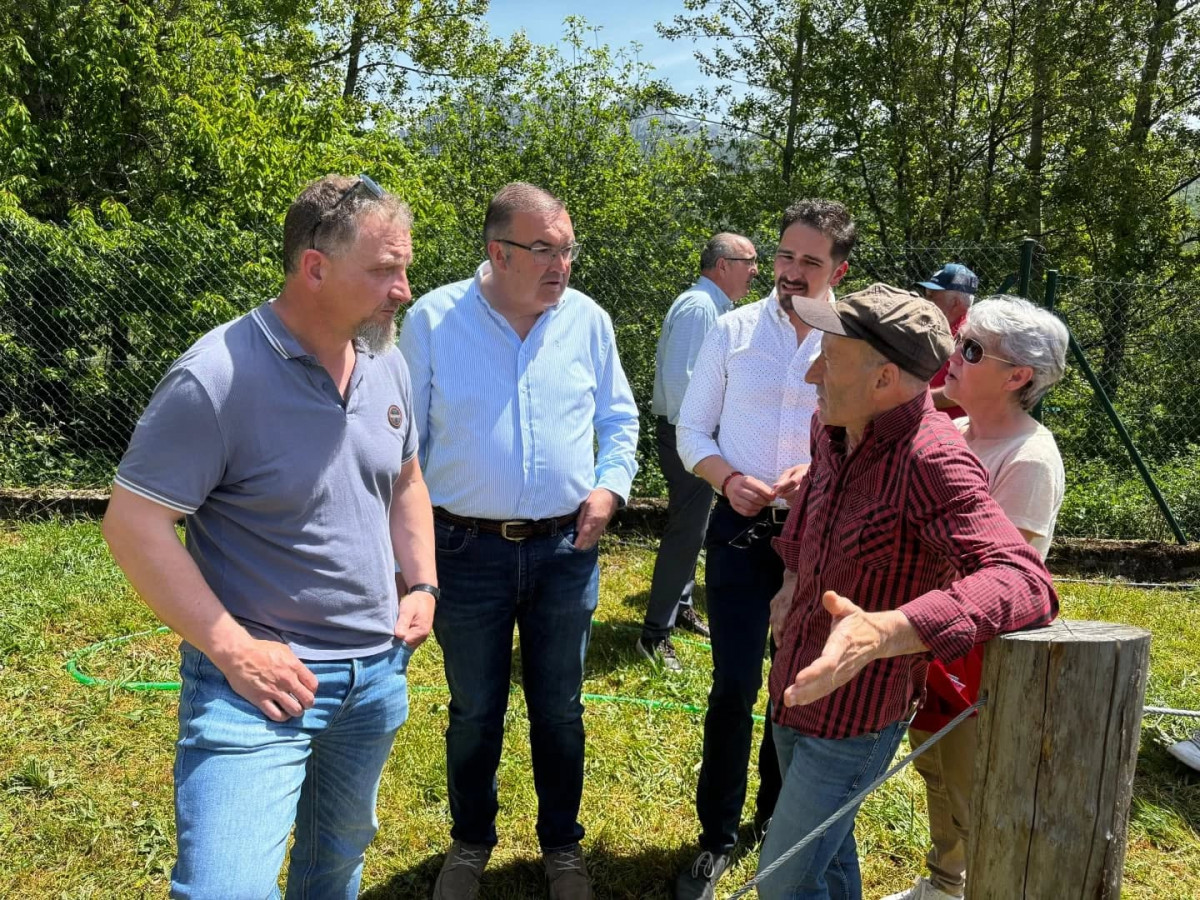 Feria de raza parda de montaña cremenes 2025 DDV 2