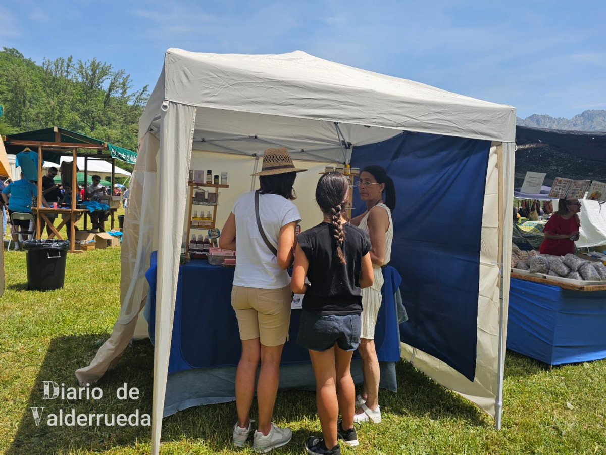 Feria de raza parda de montaña cremenes 2025 DDV 41