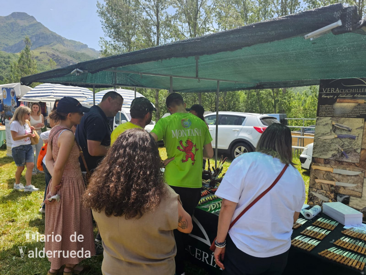 Feria de raza parda de montaña cremenes 2025 DDV 40