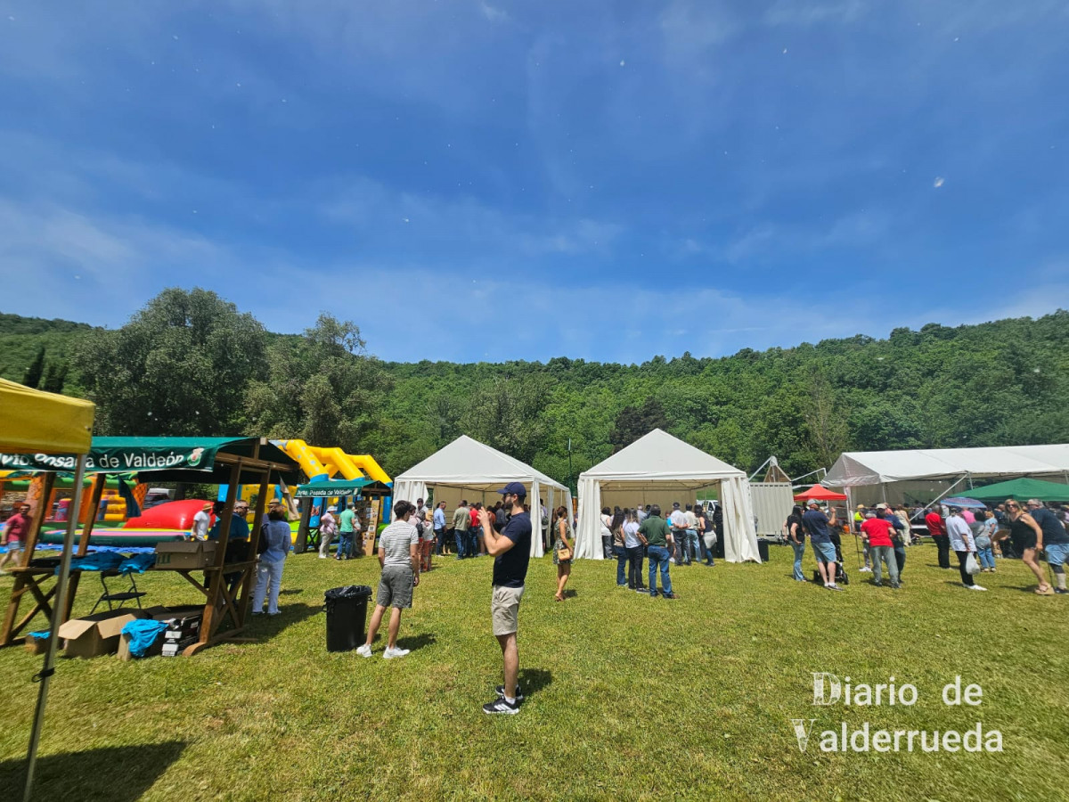 Feria de raza parda de montaña cremenes 2025 DDV 37