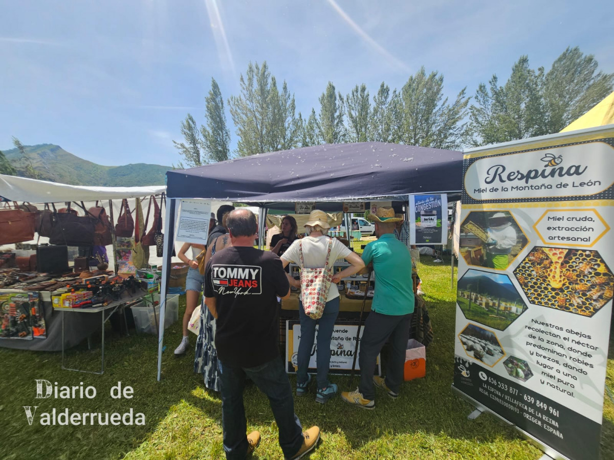Feria de raza parda de montaña cremenes 2025 DDV 36
