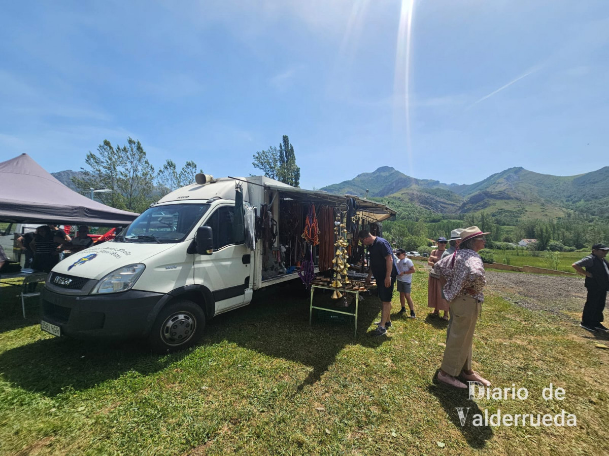 Feria de raza parda de montaña cremenes 2025 DDV 35