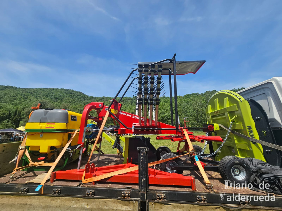 Feria de raza parda de montaña cremenes 2025 DDV 33