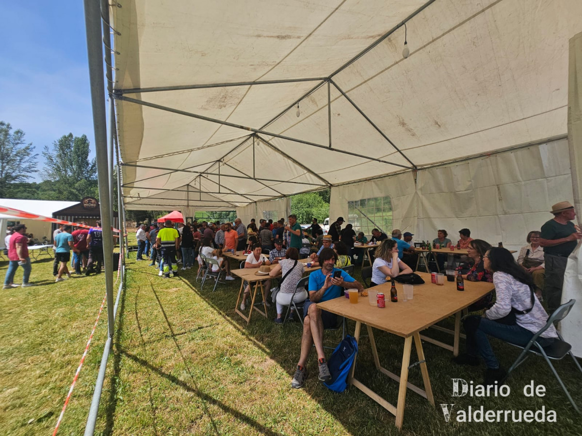 Feria de raza parda de montaña cremenes 2025 DDV 20