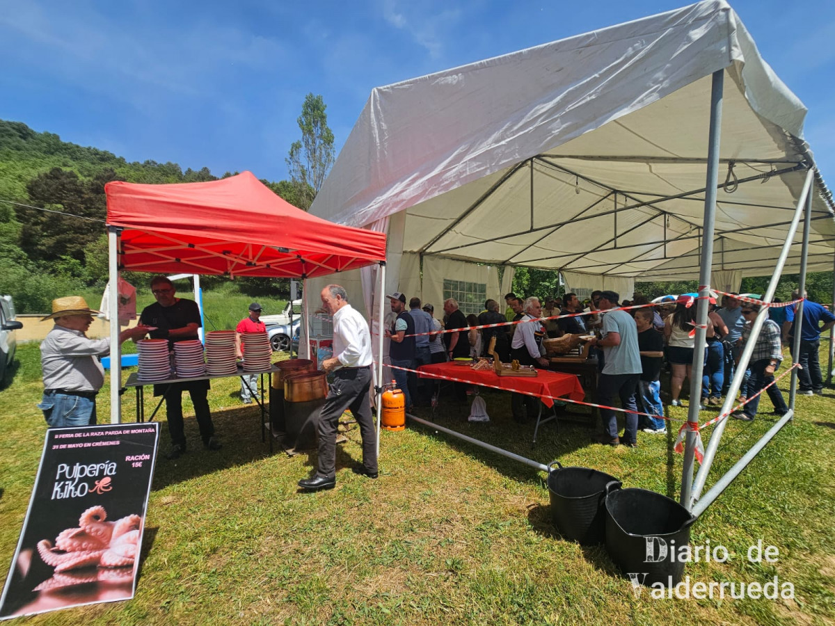 Feria de raza parda de montaña cremenes 2025 DDV 19