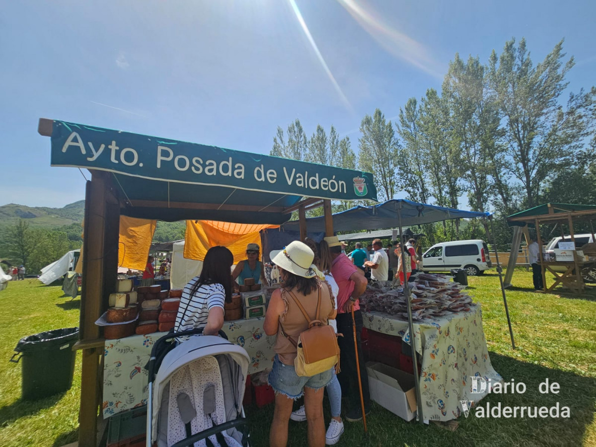 Feria de raza parda de montaña cremenes 2025 DDV 15