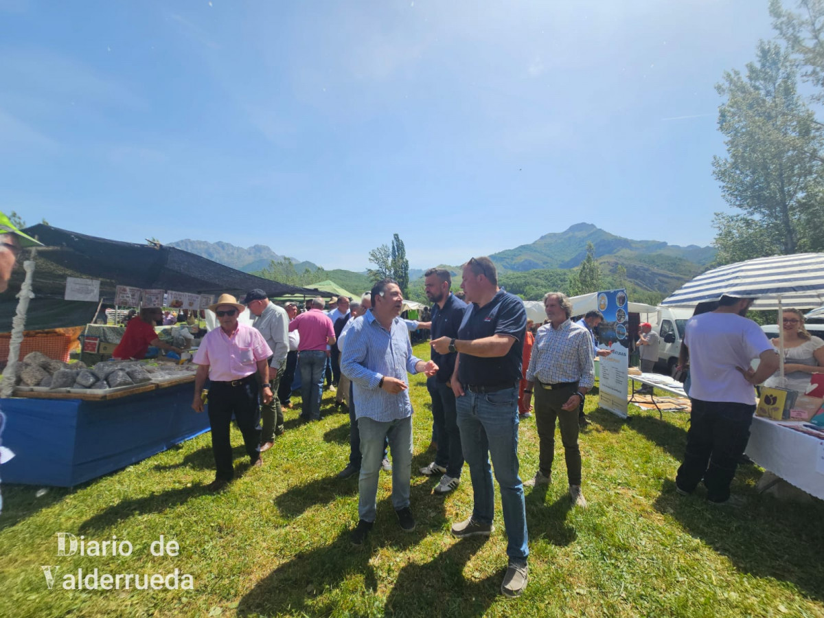 Feria de raza parda de montaña cremenes 2025 DDV 13