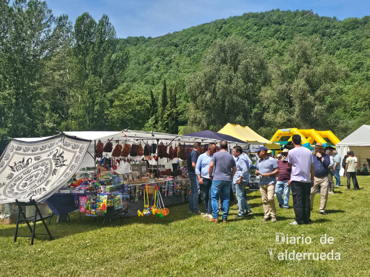 Feria de raza parda de montaña cremenes 2025 DDV 9