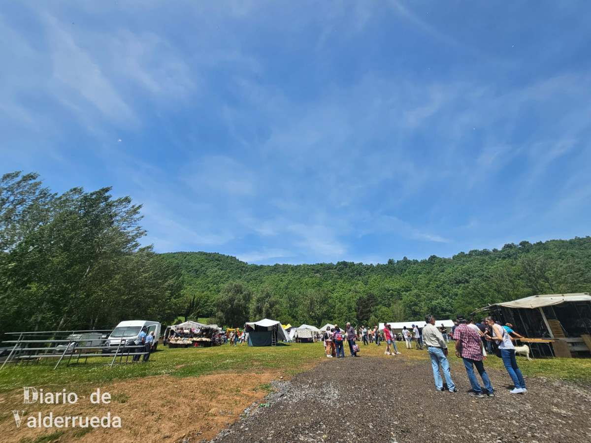 Feria de raza parda de montaña cremenes 2025 DDV 5