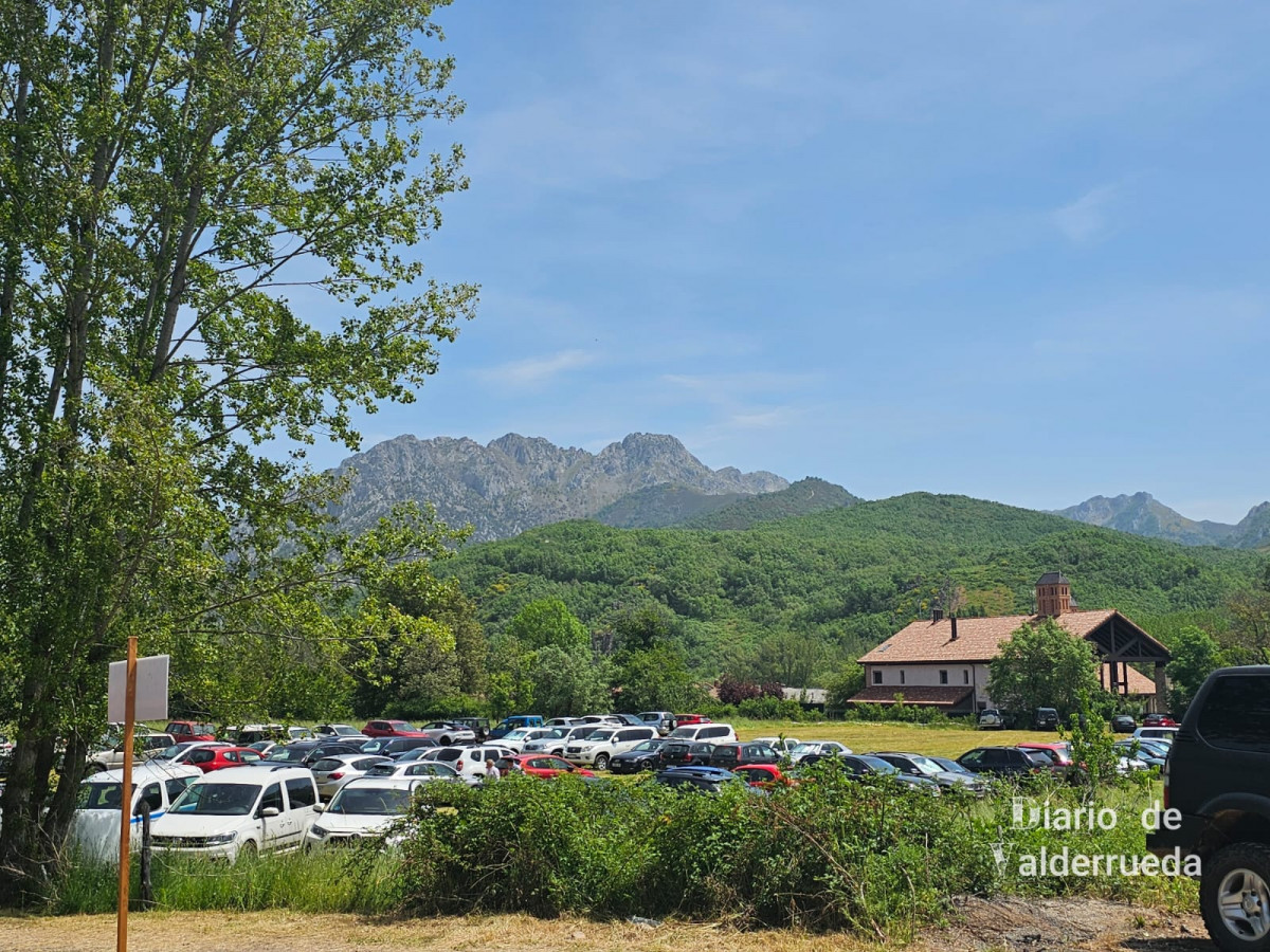 Feria de raza parda de montaña cremenes 2025 DDV 4