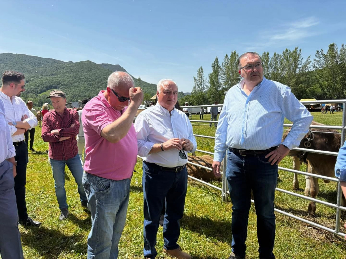 Feria de raza parda de montaña cremenes 2025 DDV 3