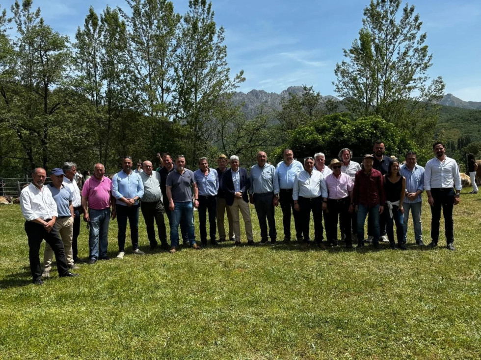 Feria de raza parda de montaña cremenes 2025 DDV 1