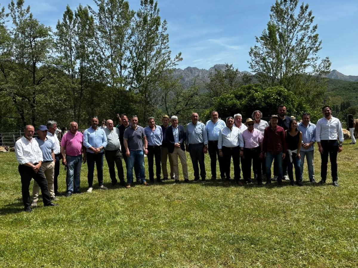Feria de raza parda de montaña cremenes 2025 DDV 1