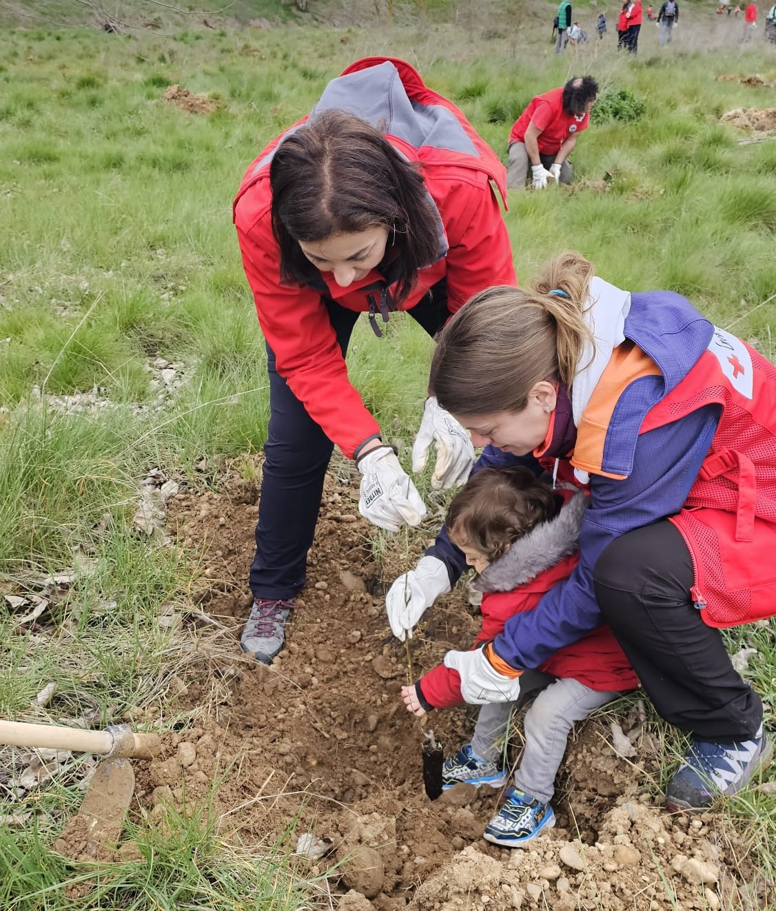 Reforestacion Reinoso