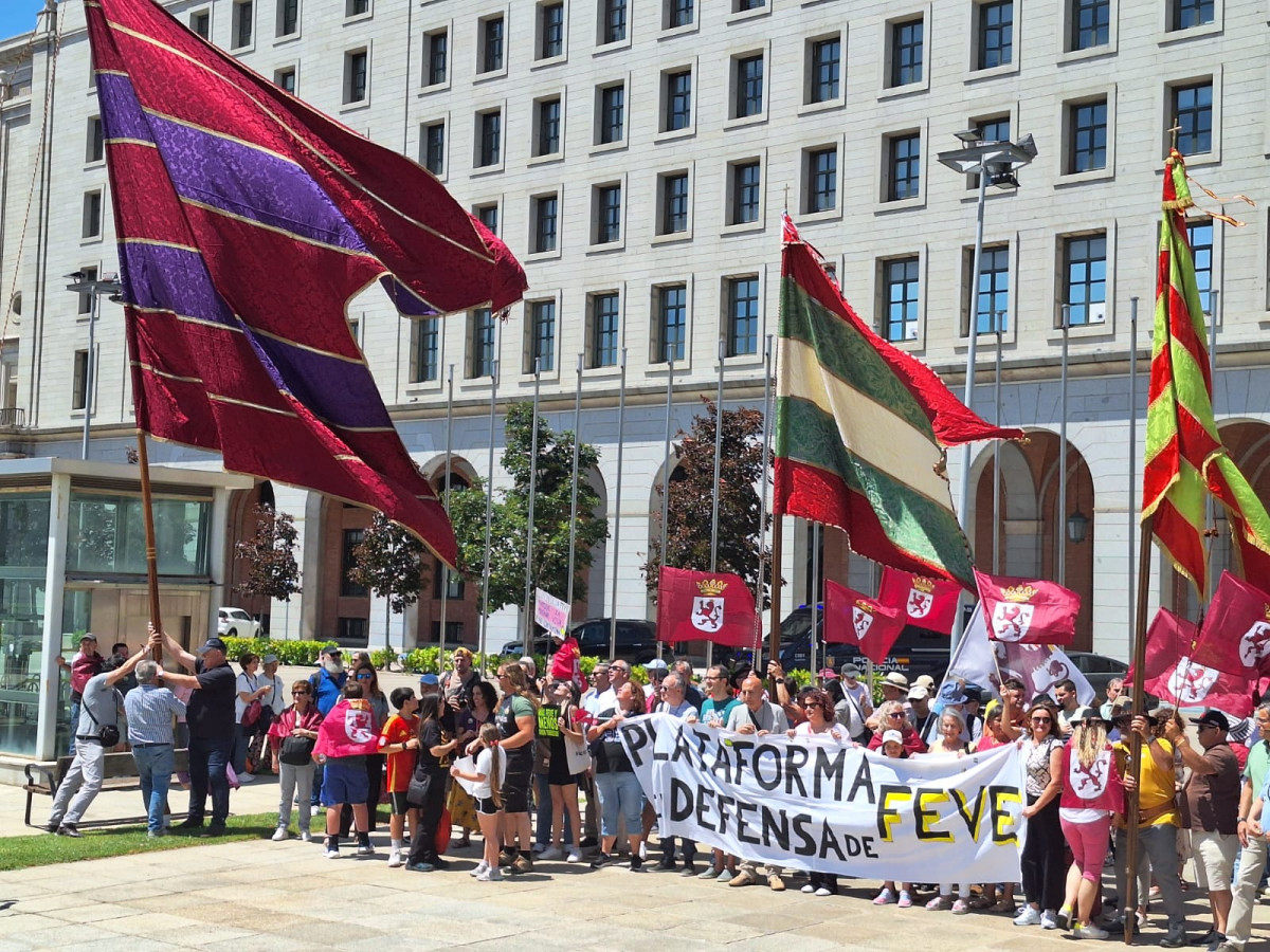 Manifestacion feve madrid