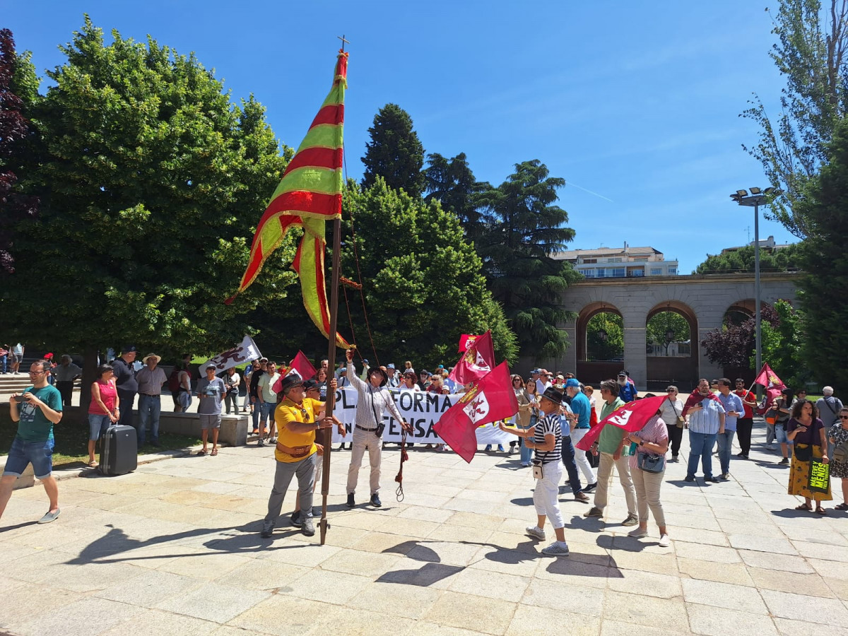 Manifestacion feve madrid (3)