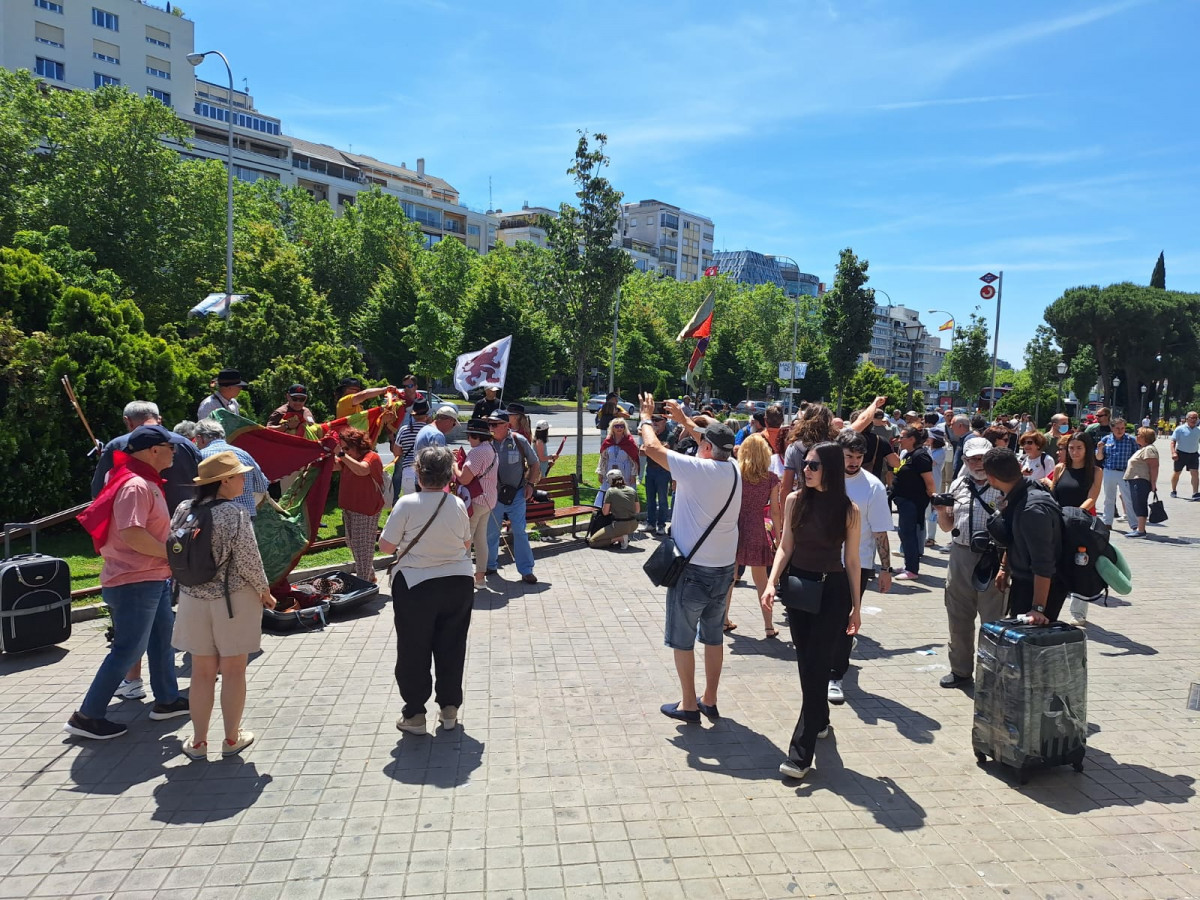 Manifestacion feve madrid (4)