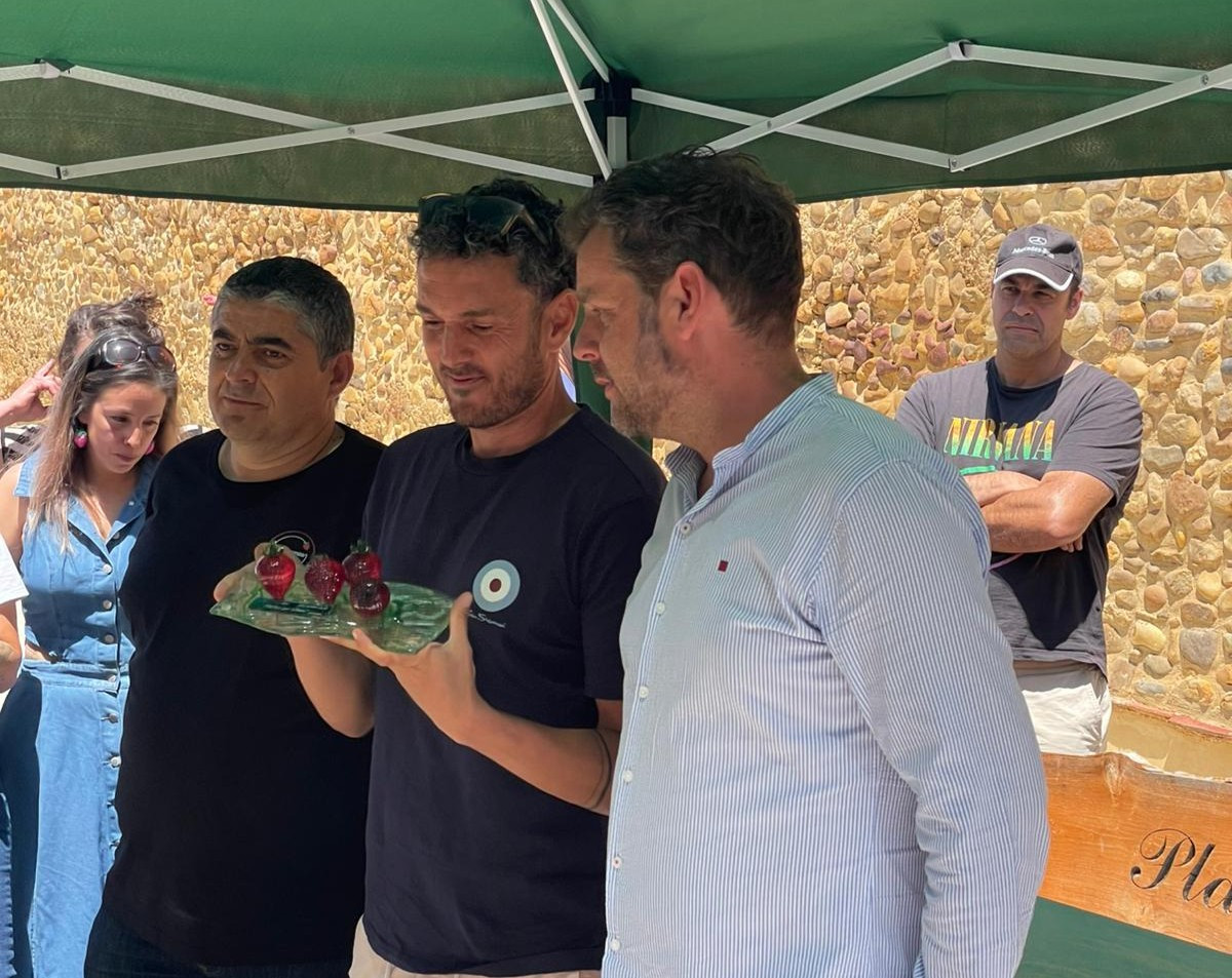 Premios fresa de oro frestival de la fresa de almanza 2025 (2)